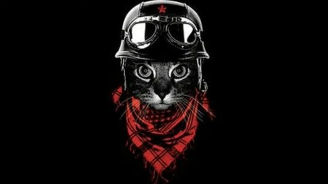 DVLP x SoundSnobz - Overtime (FelinoMusic) смотреть онлайн