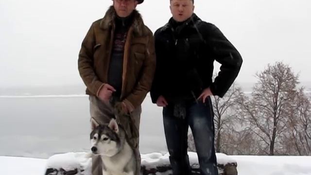 Приглашение на турнир по СБЕ ММА "TOP FIGHTER" от группы "Husky's" 25.11.2015г. смотреть онлайн
