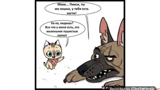 Пикси и Брут 1 серия смотреть онлайн