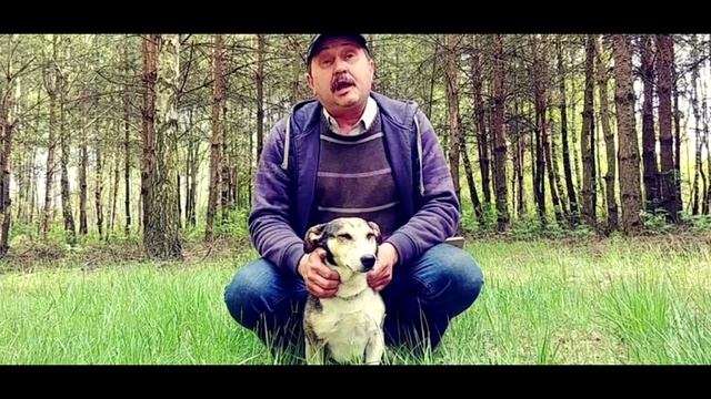 Historia o Poziomka13! смотреть онлайн