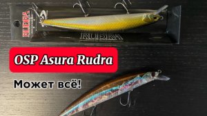 Воблер OSP RUDRA 130SP. Мнение