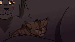 ТОП-5 НЕСЧАСТНЫХ КОТОВ-ВОИТЕЛЕЙ