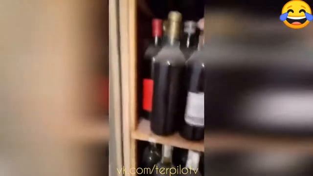 ПОПРОБУЙ НЕ ЗАСМЕЯТЬСЯ! "103" ЛУЧШИЕ ПРИКОЛЫ 2018 смотреть онлайн
