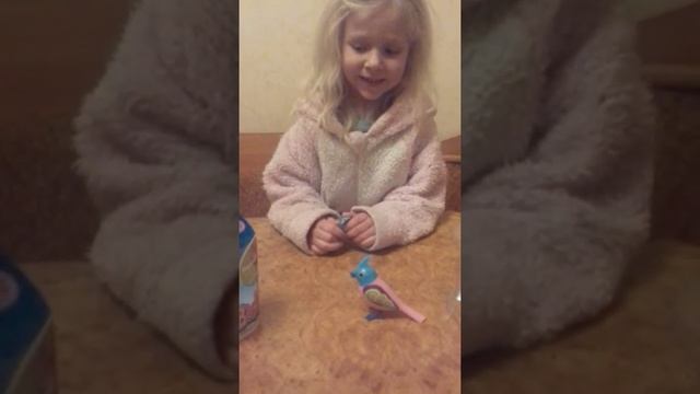 Поющая птичка класс 33 смотреть онлайн