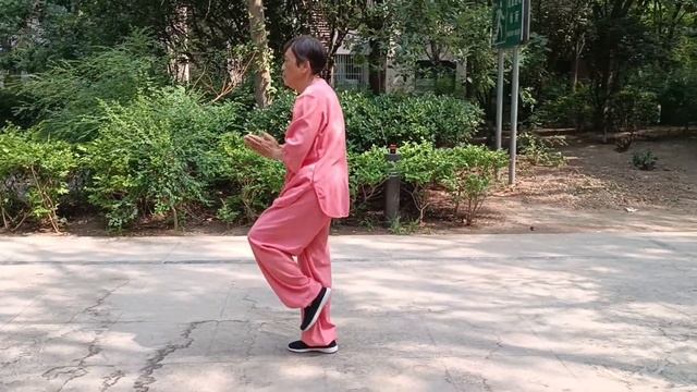 Тайцзи_ китаянка выполняет "Кулак Будды" смотреть онлайн