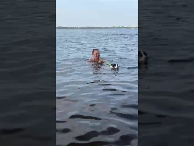 Моя Любовь смотреть онлайн