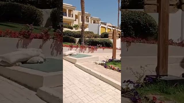 Отдых. Египет. смотреть онлайн