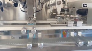 Станок для упаковки продукции в готовые пакеты DS-160DZ