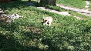 video_2025-04-29_12-49-57