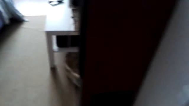 Котята. Доброе утро. смотреть онлайн