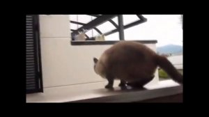Ну че народ погнали