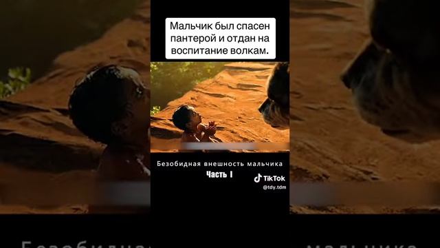 грустная история пантеры