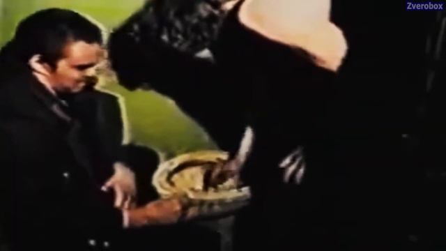 Шрек RYTP FULL от Zverobox.(Смешанный видео) смотреть онлайн