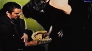 Шрек RYTP FULL от Zverobox.(Смешанный видео)