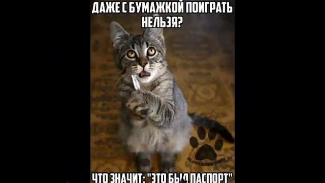 Мирлина 2 😳 (full video, nsfw) смотреть онлайн