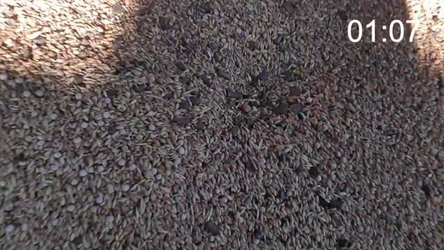 Измельчение зерна 7,5 кВт №6 смотреть онлайн