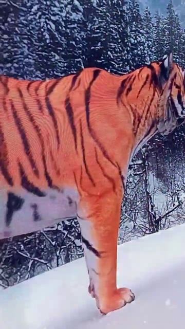 Встреча с тигром ,незапланированная , прошла удачно. 75-ый Павильон ВДНХ.Выставка Россия. смотреть онлайн