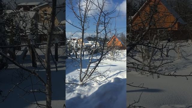 #замело #шевлягино #раменскийрайон #ореховозуевскийрайон #снегопад  #надаче #снтцентроспецстроевец