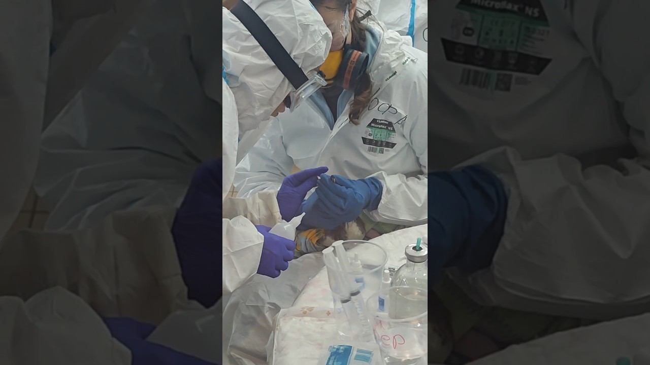 Спасите Чёрное море! #спаситечерноеморе #черноеморекатастрофа #анапачп