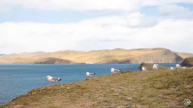 «Baikal Live», арт фестиваль на Байкале