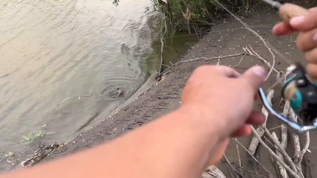 Рыбалка в дождь.. #rain #fishing #лайк #рыбалка #врек #нура #язь #карась #судак смотреть онлайн