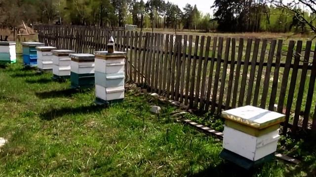 Пчеловождение в ульях Роже Делона ч 1 смотреть онлайн