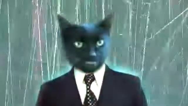 Поющий кот(прикол) смотреть онлайн