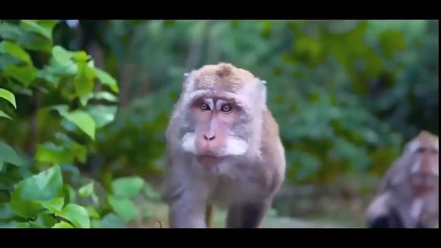 зыка 2019 Лучшая Му🌴 Зарубежные песни Хиты 🌴 Популярные Песни Слушать Бесплатно 20192 смотреть онлайн