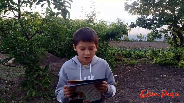 Рут Эйнсворт. Ана ве сюрприз. Edem paşa. смотреть онлайн