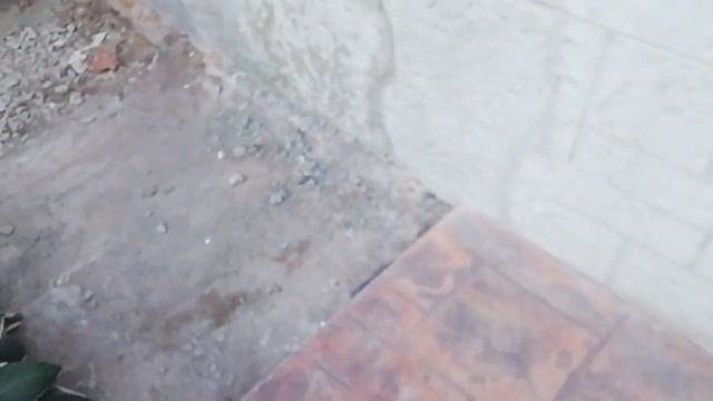 5 декабря 2022 г.