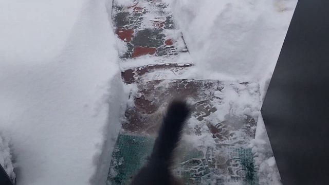 Снег -снежок, завалил! смотреть онлайн