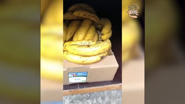 Бесплатная еда смотреть онлайн