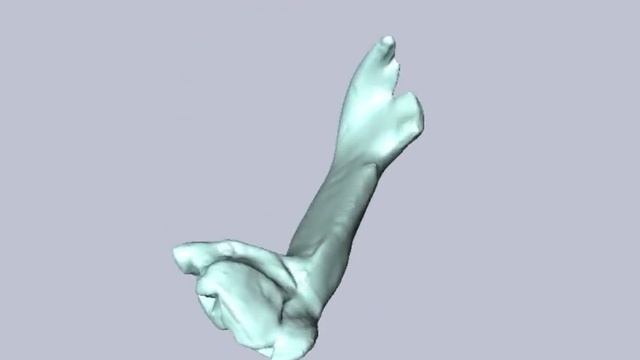 A trap-jaw ant odyssey смотреть онлайн