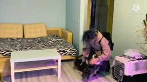 Прощай Anny Magic❤ Спасибо за лучшие годы🔮