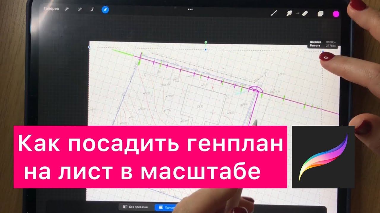 Как в procreate работать с pdf геоподосновой смотреть онлайн