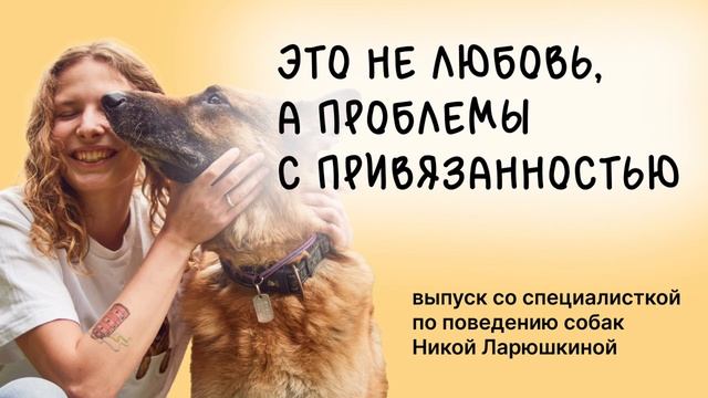 Собака лает и воет дома, когда остаётся одна? Этот выпуск для вас! смотреть онлайн
