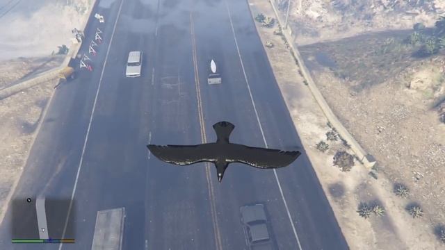 Gta 5 птичку жалко смотреть онлайн