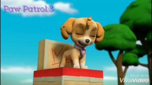 🖤 Скай и Гонщик || Skye x Chase 🖤 Клип о щенячем патруле. Фогель - пуля