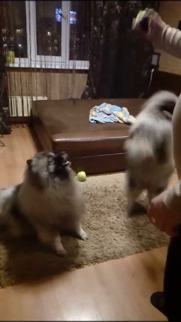 8 декабря 2016 г.