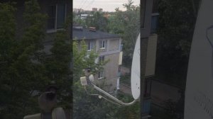 Мы купили дом  в деревне...