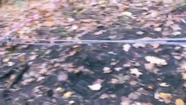 ЩЕГОЛИХА 2019 смотреть онлайн