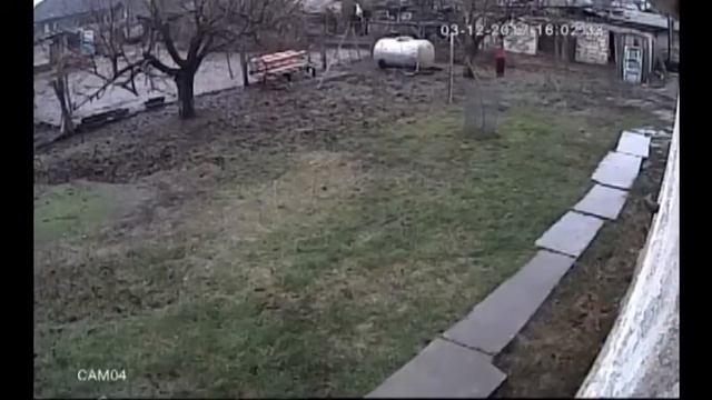 Прикол. Приколы. Прикол с испугом. Падение. смотреть онлайн