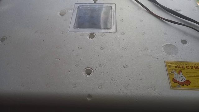 Все тонкости в инкубации куриных яиц. Инкубатор несушка на 104 яйца. смотреть онлайн