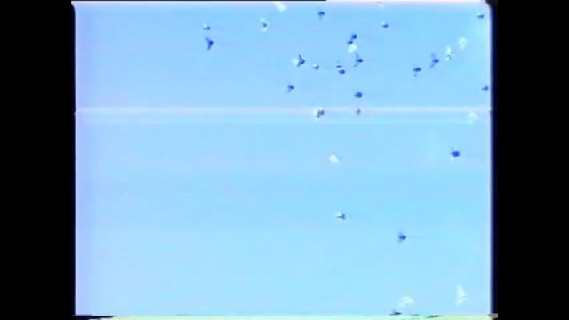 НИКОЛАЕВСКИЕ ГОЛУБИ смотреть онлайн