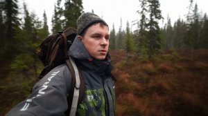 О ружье и о собаке. Ответы на вопросы.