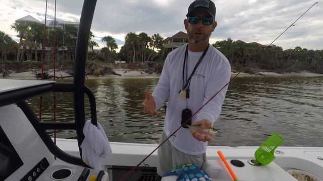 Barracuda Bait Report 9/11/2018 with Ozzie Fisher смотреть онлайн