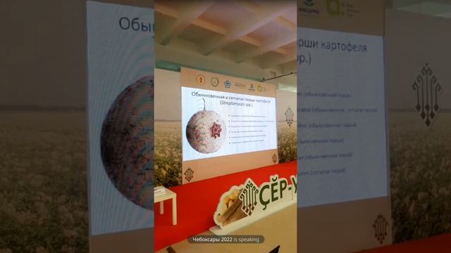 Компания "Август" - Чебоксары 2022 смотреть онлайн