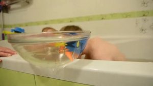 VLOG #2 мультфильм В поисках Дори/ Запускаем Дори и Немо в ванной/ Finding Dory