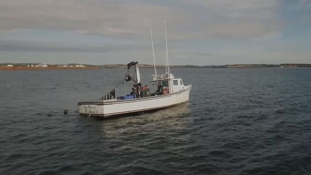 Prince Edward Island Mussels