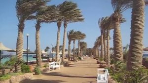 Арабия Азур ветер 06.12.avi